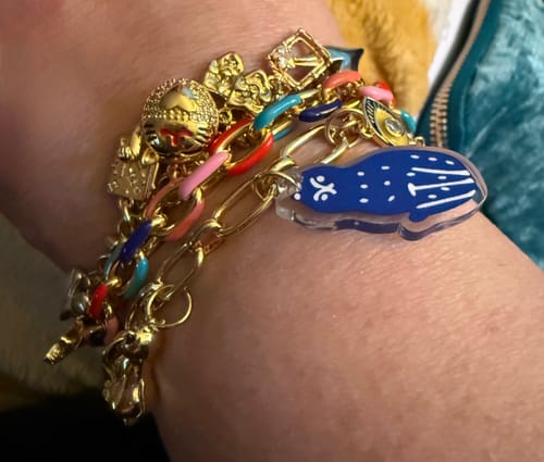 Customer photo review of 7 CHARM Bracelet Bundle - (Chain OR Clips + 7 CHARMS) TT LIVE