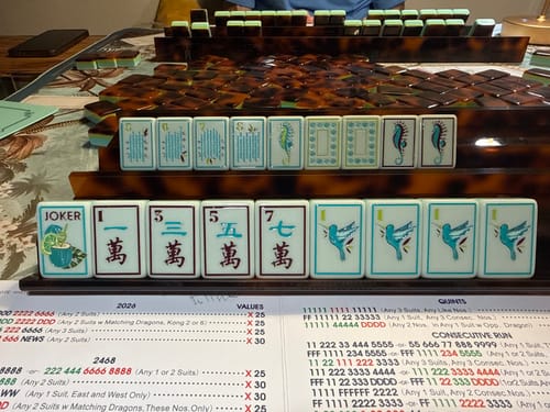 Customer photo review of Coral and Coast - Holiday Supplemental Tiles