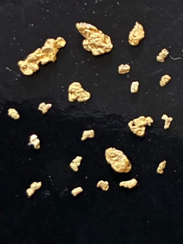 Customer photo review of 5 Lb. NUGGET RESERVE™ ‘Specimen Elite’ - Gold Paydirt