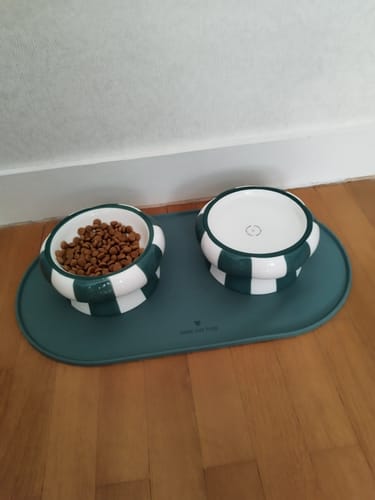 Customer's two striped Cool Cat Club ceramic bowls filled with kibble on a matching green mat on a floor.