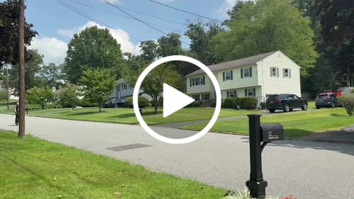 Customer video review of Kvisp Dog Bike Carrier