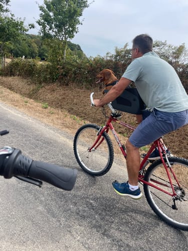 Customer's Kvisp Dog Bike Carrier mounted on a red bicycle with a small dachshund riding inside on a paved path.