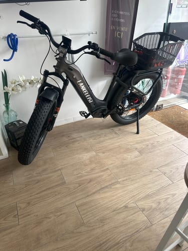 Customer's Lankeleisi MG600 Plus fat bike in black, parked indoors with an added cargo basket on the rear rack.