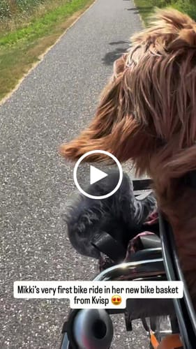 Customer video review of Kvisp Dog Bike Carrier