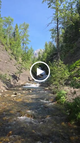 Customer video review of Roam I - Barefoot Shoes
