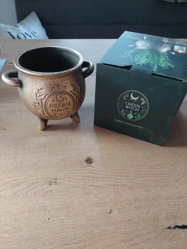Reviewer's Herbal Magic Kessel-Blumentopf in Bronzeoptik neben der zugehörigen Produktverpackung auf einem Holztisch.