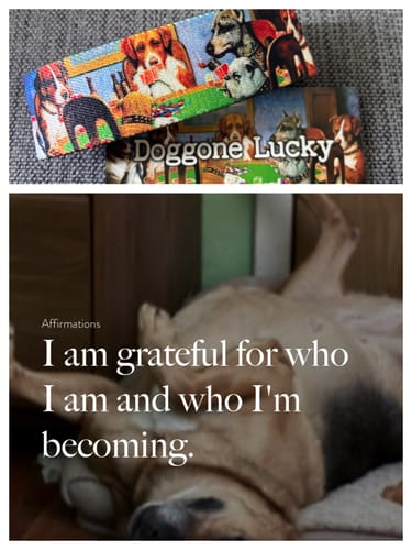 Customer's Doggone Lucky bracelet and packaging, featuring cartoon dogs playing poker.