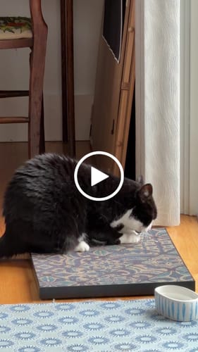 Customer video review of Mediterranean Tile - Luxury Cat Scratching Board