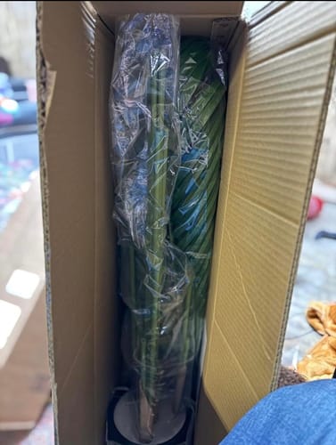 Customer photo review of 5FT Tall Floor Plant