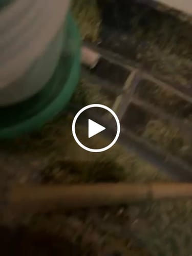 Customer video review of Alien OG (Indoor) - THCA Flower