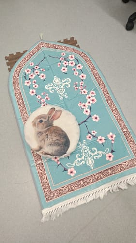 Customer's teal Zehra Blossom Padded Prayer Mat with floral pattern and a round rabbit-themed pillow on top.