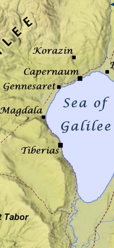 Customer's irrelevant map image of the Sea of Galilee, unrelated to Daily Worm Defense + Gut Support.