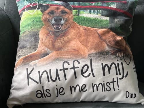 Customer photo review of Knuffel mij als je me mist - Gepersonaliseerde kussen