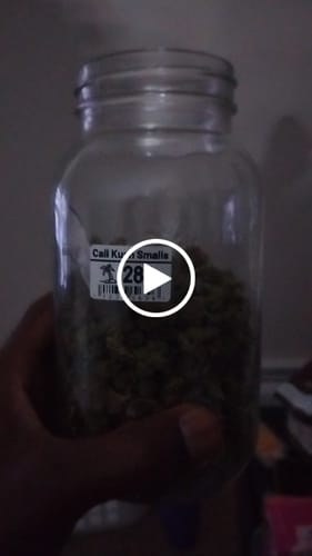 Customer video review of Cali Kush Smalls (BOGO)