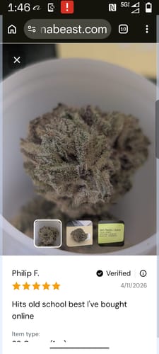 Customer photo review of Greenhouse Smalls