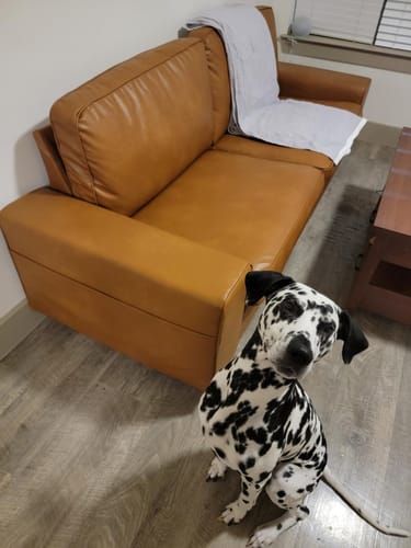 Customer photo review of Modern Faux Leather Sofa Couch