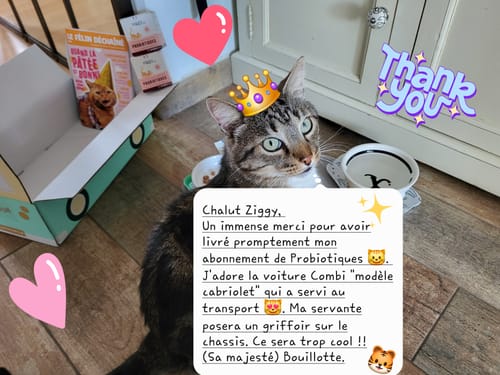 Customer's cat wearing a crown next to boxes of Probiotiques Chat - Flore Digestive and a magazine.