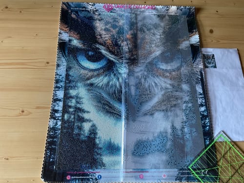 Customer photo review of 5D Diamond Painting – Mystische Eule im Nebelwald