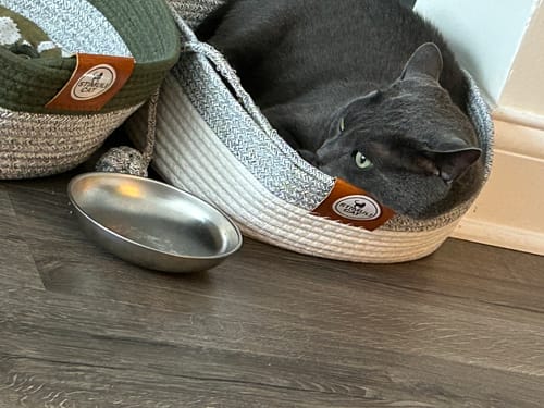 Customer's grey cat sleeping inside a sturdy, grey and white woven Instinct Basket next to a small metal dish.