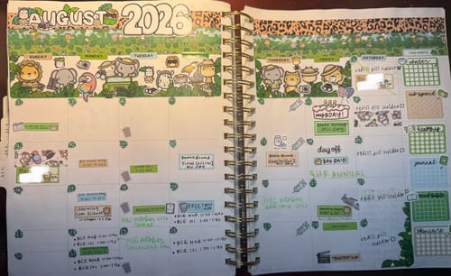 Customer's Ultimate Subscription planner pages decorated with safari themed stickers for August 2026.