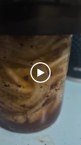 Customer video review of Mason Genie® Vacuum Sealer Kit