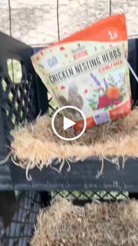 Customer video review of Nesting Herbs - Control Odors & Keep Coops Mite & Lice-Free