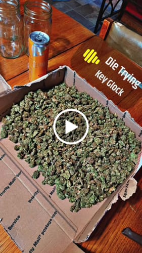 Customer video review of MJ Mintz (Light-Assisted Smalls) – Bulk THCA Flower 1 lb