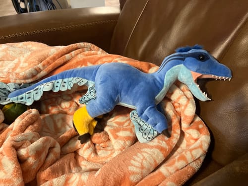 Customer photo review of Microraptor Dinosaur Soft Stuffed Plush Toy