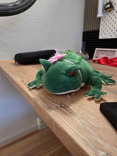 Customer photo review of Beelzebufo Plush – Realistic Prehistoric Frog Stuffed Toy for Paleontology Fans