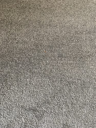 Reviewer's view of a textured grey carpet where the Apple iPhone 16e is not visible.