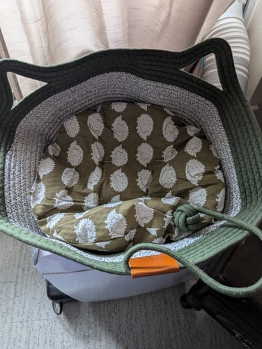 Customer's Instinct Basket for cats, showing green woven structure and interior green patterned cushion.
