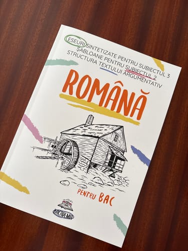Customer's Bacademia Bacalaureat book with a windmill sketch cover design on a brown wooden desk.
