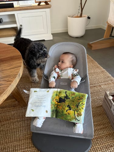 Customer's baby lying in a grey baby bouncer, with a small dog looking on, in a home setting.