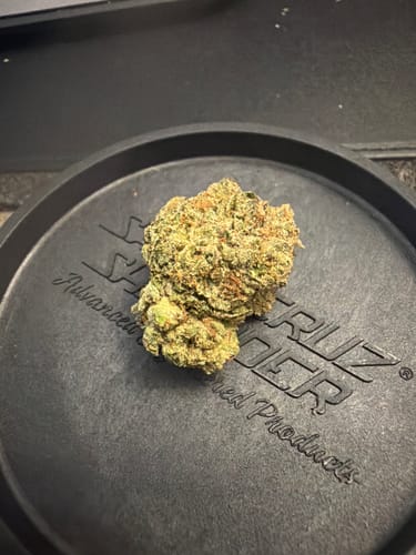 Customer photo review of Champelli THCA Flower