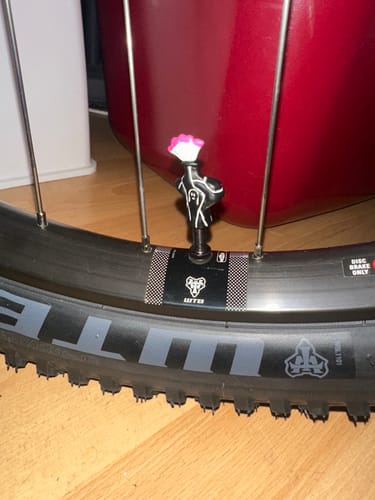 Customer photo review of Ghooost Valve Cap (Presta)