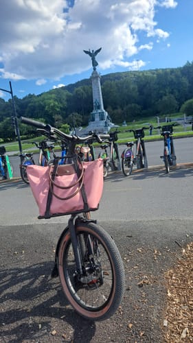 Customer photo review of Voilé Rack-Strap (13mm hooks)