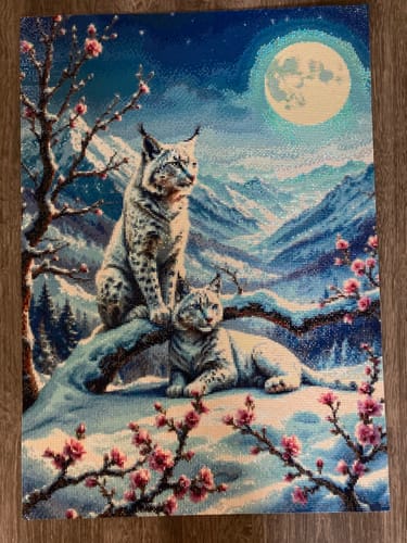 Customer photo review of 5D Diamond Painting – Schneeluchse im Mondlicht