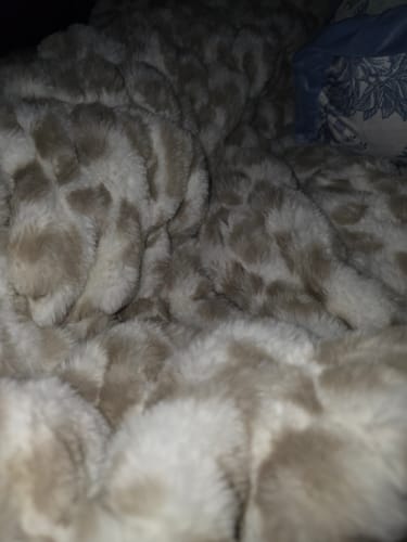 Customer's close-up of the plush Hugs Snow Leopard Blanket showing its soft white and gray textured pattern.