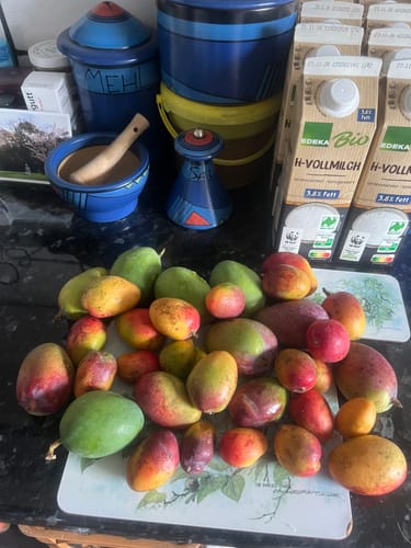 Kundenfoto der Baby-Mango Mix Wild Wonders Mangos in verschiedenen Größen und Farben auf einer Küchentheke.
