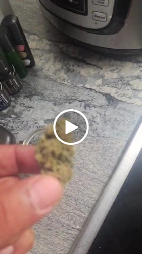 Customer video review of THC-A 31% Flower Gary Payton