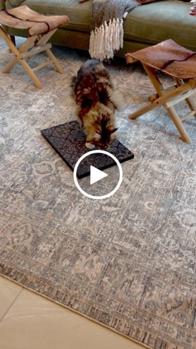 Customer video review of Mediterranean Tile - Luxury Cat Scratching Board