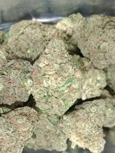 Customer photo review of Cheap Indoor THCA Flower Ounce