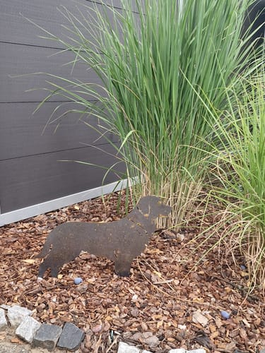 Customer photo review of Gartenstecker Golden Retriever