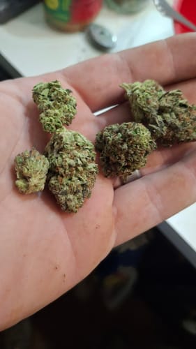 Customer photo review of THCA Queen