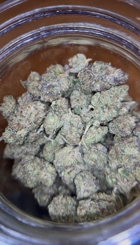 Customer photo review of OG Kush THCA Autoflower
