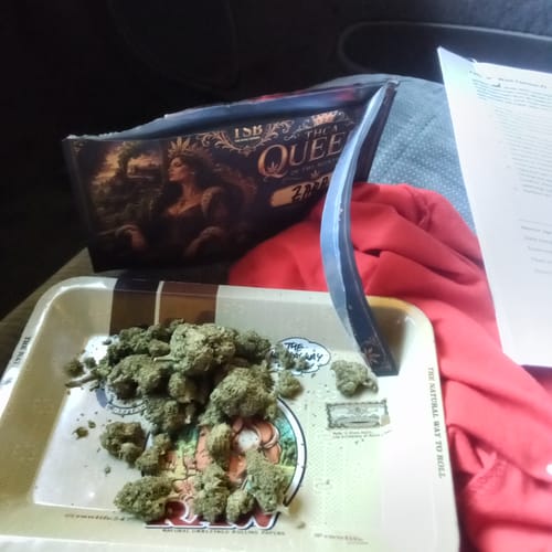 Customer photo review of THCA Queen
