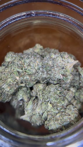 Customer photo review of Acapulco Gold THCA Flower