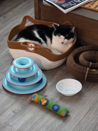 Customer's black and white cat napping in a brown and white Instinct Basket on a floor with various cat toys.