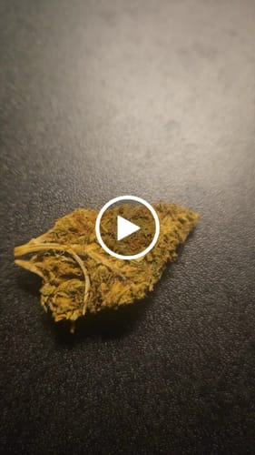 Customer video review of Sour Chem CBD Flower