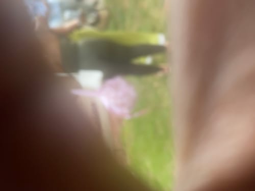 Customer's blurry, indistinct photo in a natural, outdoor setting, possibly representing the product environment.